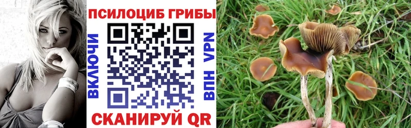 Галлюциногенные грибы мицелий  Миллерово 