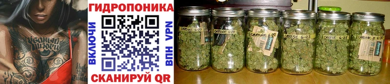 Канабис Amnesia  мега tor  Миллерово 