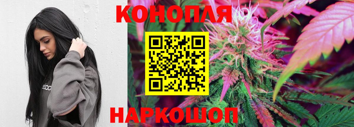 Бошки марихуана план  Марихуана марихуана  Миллерово  Вход с VPN 